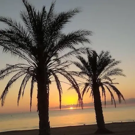 Charm With An Oasis By The Apartment Denia